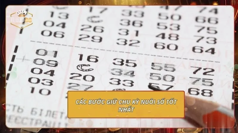 Dàn Đề 56 Số - Lọc Số Vàng Cực Hiệu Quả Cho Người Mới Các bước giữ chu kỳ nuôi số tốt nhất