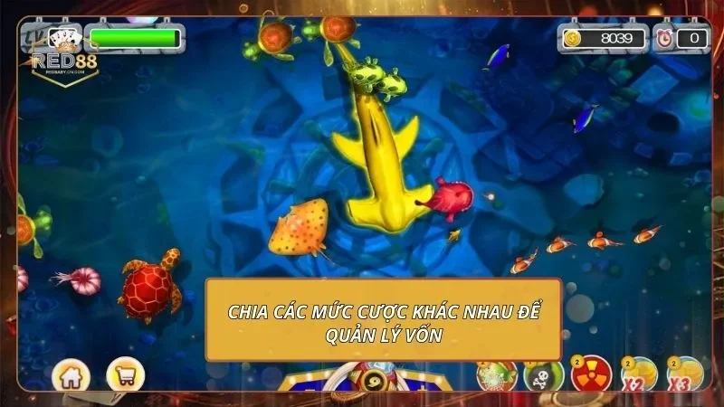 Đại Chiến Thái Bình Dương - Săn Thưởng Không Giới Hạn Chia các mức cược khác nhau để quản lý vốn