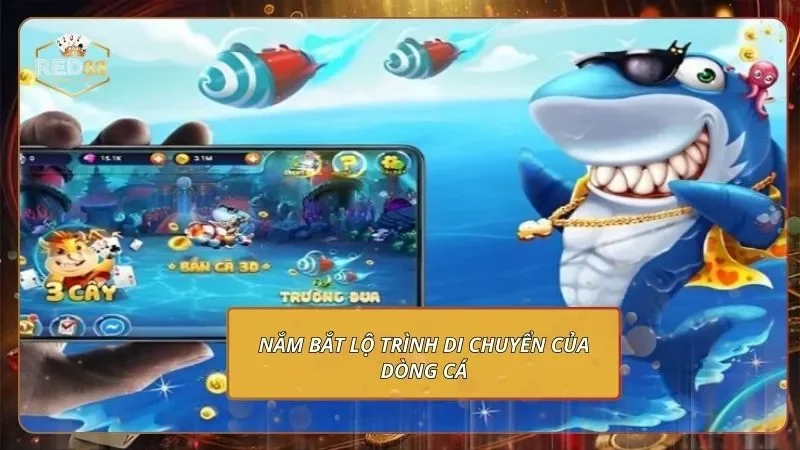 Vua Săn Cá - Mách Bạn Mẹo Chinh Phạt Thắng Cực Đậm Nắm bắt lộ trình di chuyển của dòng cá