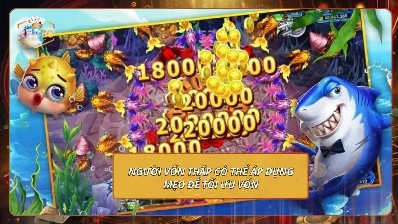 Đại Chiến B52 - Trổ Tài Săn Cá, Quy Đổi Thưởng Khủng Người vốn thấp có thể áp dụng mẹo để tối ưu vốn